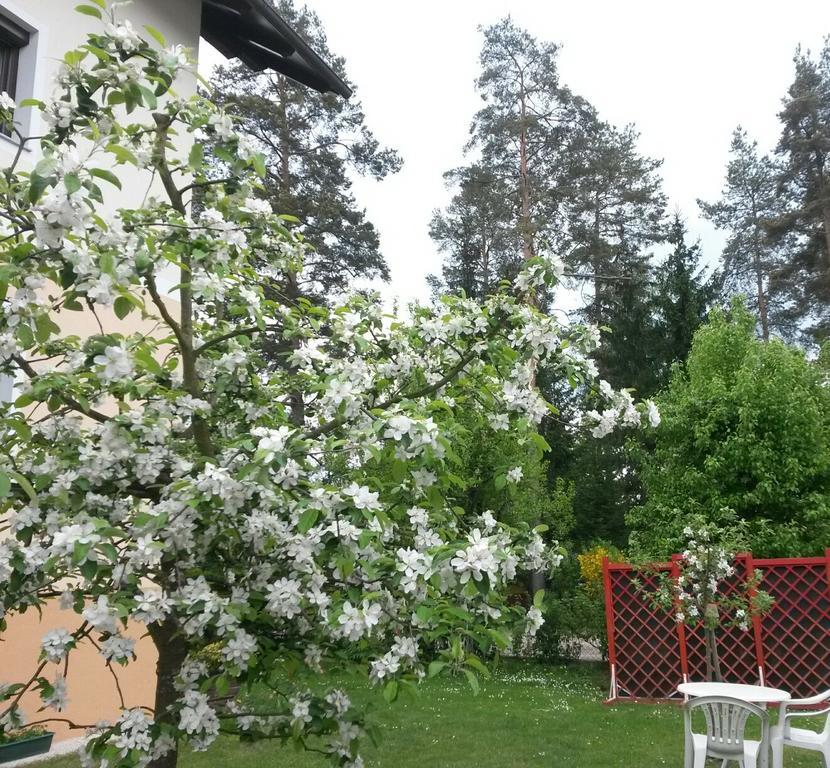 Ferienwohnung Kerth Sankt Kanzian am Klopeiner See Exterior foto